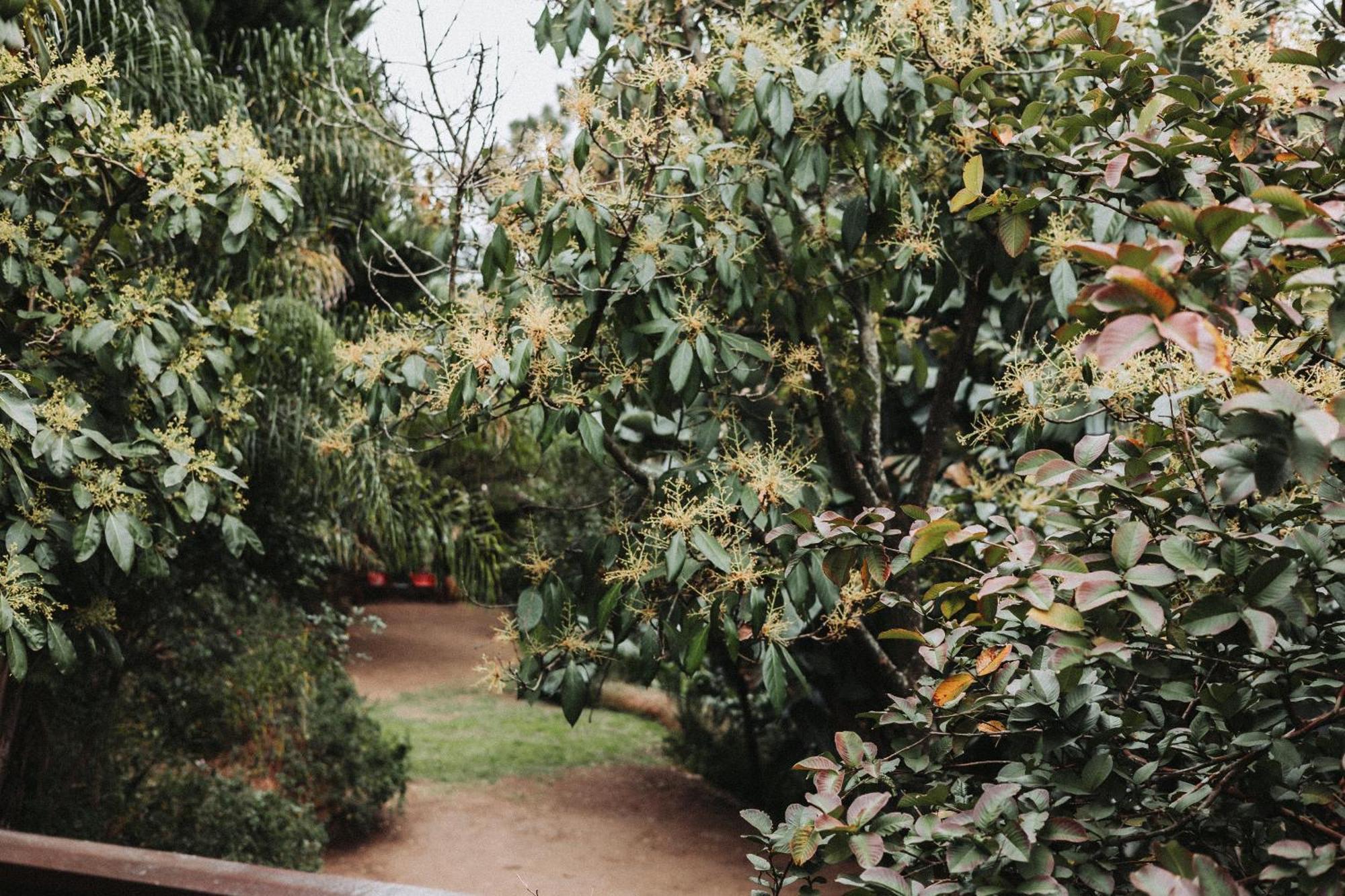 איסט לונדון The Blue Door B&B מראה חיצוני תמונה